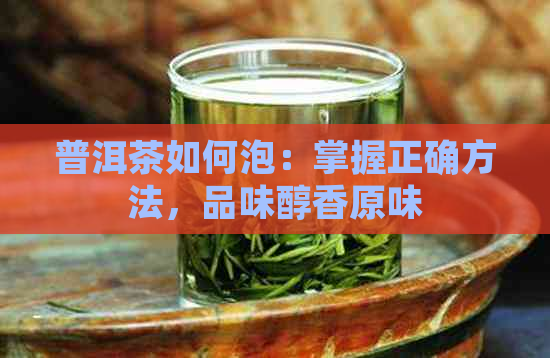 普洱茶如何泡：掌握正确方法，品味醇香原味