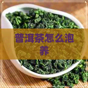 普洱茶怎么泡养