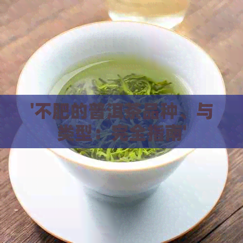 '不肥的普洱茶品种、与类型：完全指南'