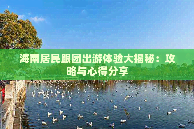 海南居民跟团出游体验大揭秘：攻略与心得分享