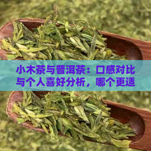 小木茶与普洱茶：口感对比与个人喜好分析，哪个更适合你？