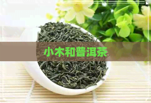 小木和普洱茶