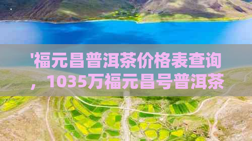 '福元昌普洱茶价格表查询，1035万福元昌号普洱茶简介'