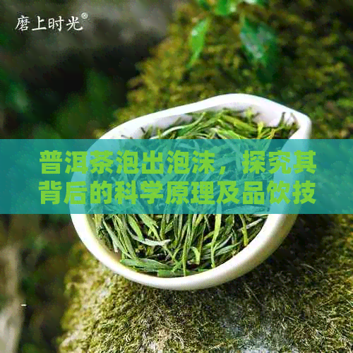 普洱茶泡出泡沫，探究其背后的科学原理及品饮技巧