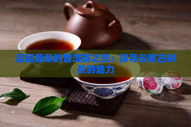 层层叠翠的普洱茶之旅：探寻云南古树茶的魅力