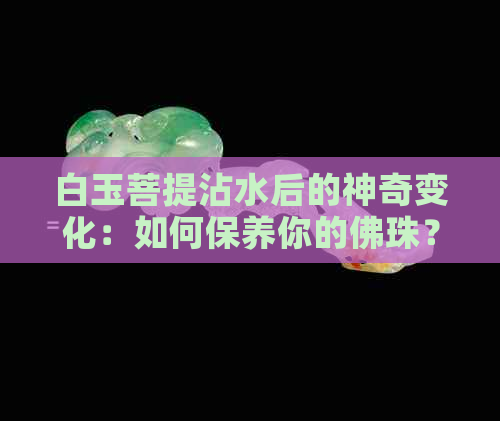 白玉菩提沾水后的神奇变化：如何保养你的佛珠？