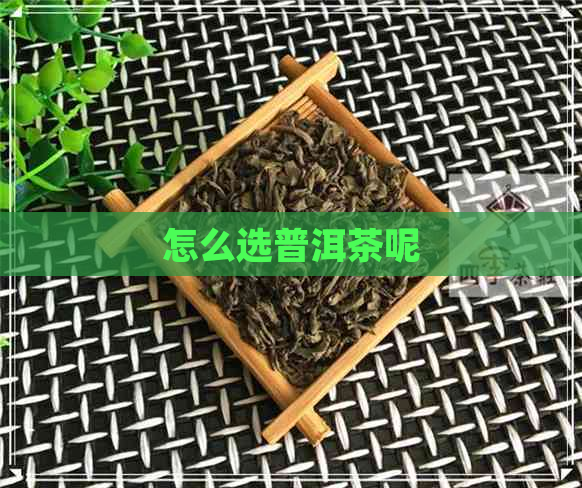 怎么选普洱茶呢