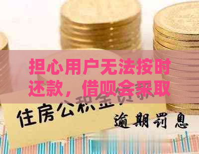 担心用户无法按时还款，借呗会采取哪些措？