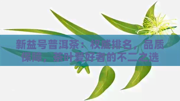 新益号普洱茶：权威排名，品质保障，茶叶爱好者的不二之选