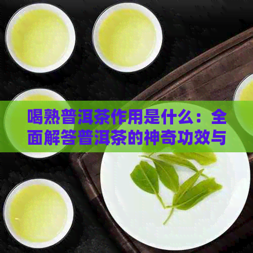 喝熟普洱茶作用是什么：全面解答普洱茶的神奇功效与作用