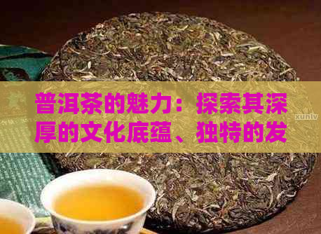 普洱茶的魅力：探索其深厚的文化底蕴、独特的发酵工艺以及健益处