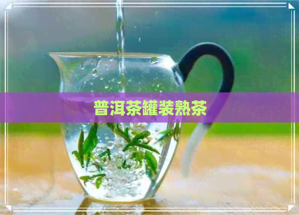 普洱茶罐装熟茶