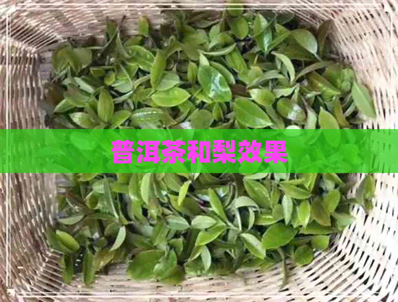 普洱茶和梨效果