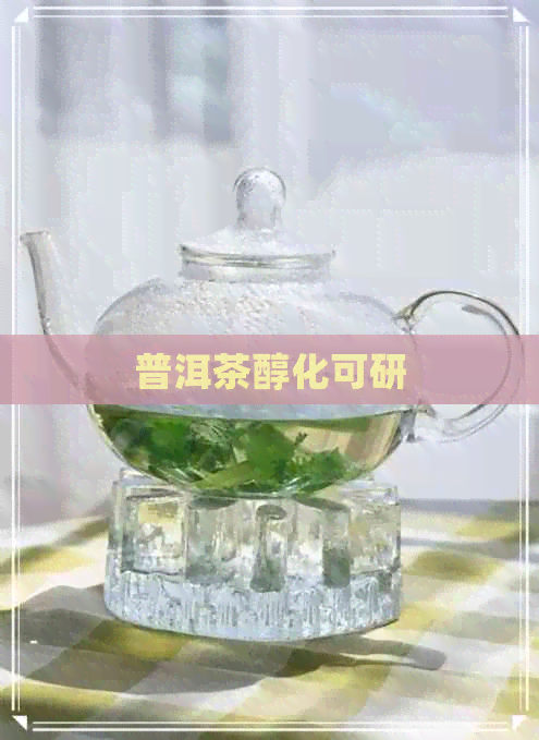 普洱茶醇化可研