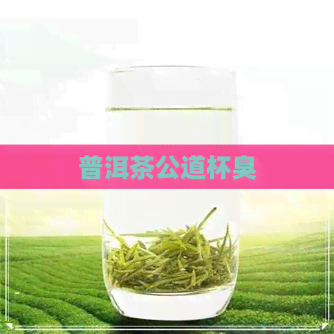 普洱茶公道杯臭