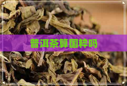 普洱茶算国粹吗