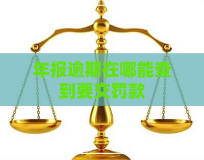 年报逾期在哪能查到要交罚款