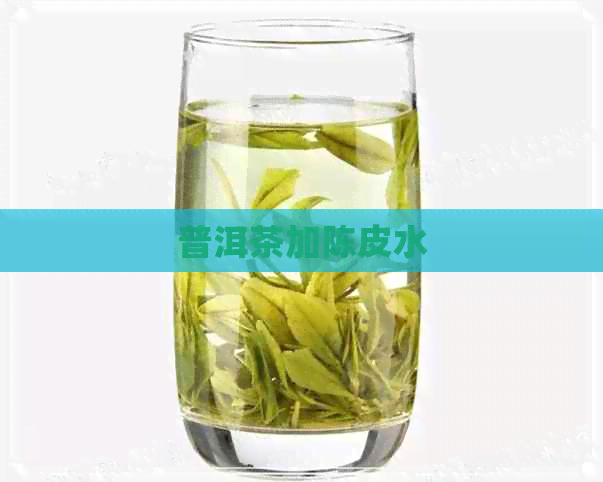 普洱茶加陈皮水