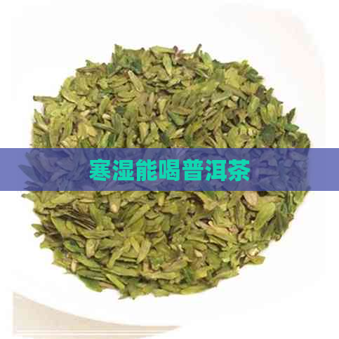 寒湿能喝普洱茶