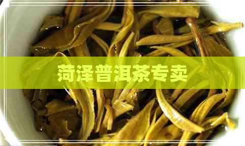 菏泽普洱茶专卖