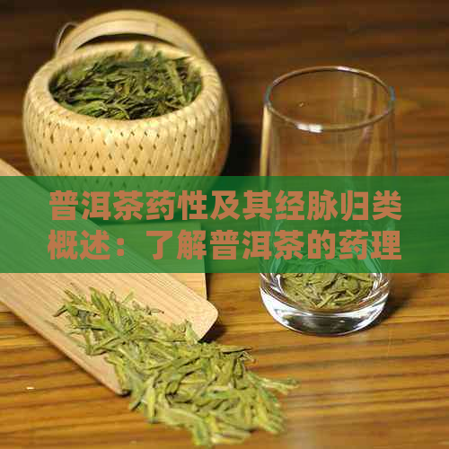 普洱茶药性及其经脉归类概述：了解普洱茶的药理作用及其对身体各部位的影响