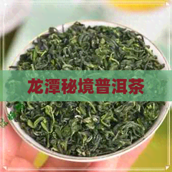 龙潭秘境普洱茶