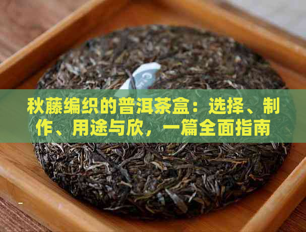 秋藤编织的普洱茶盒：选择、制作、用途与欣，一篇全面指南