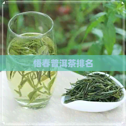 悟春普洱茶排名