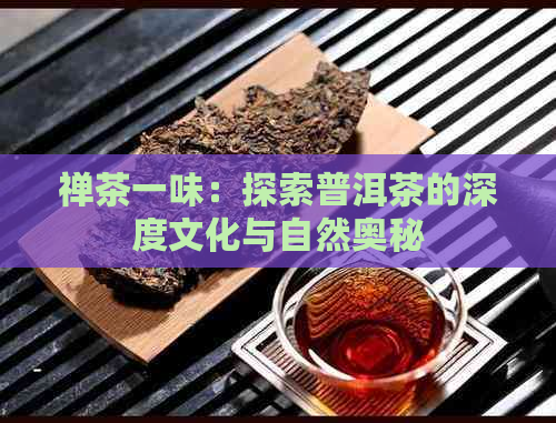 禅茶一味：探索普洱茶的深度文化与自然奥秘