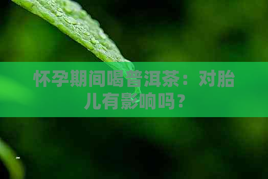 怀孕期间喝普洱茶：对胎儿有影响吗？