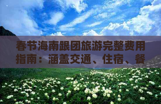 春节海南跟团旅游完整费用指南：涵盖交通、住宿、餐饮及活动预算