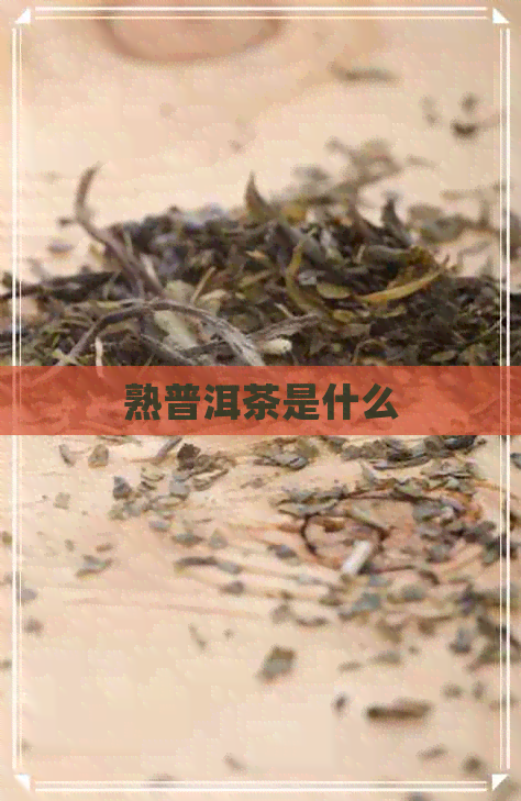 熟普洱茶是什么