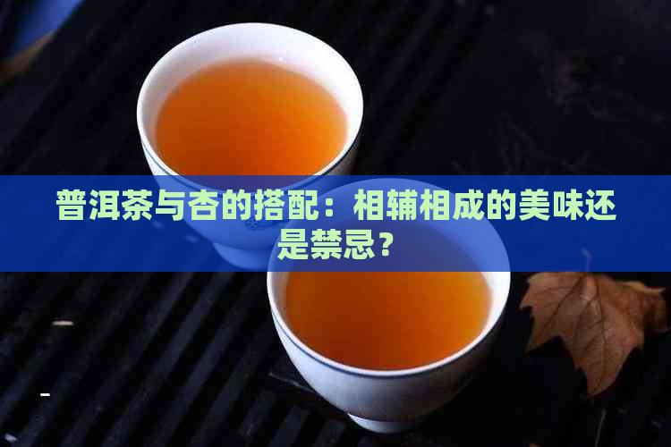 普洱茶与杏的搭配：相辅相成的美味还是禁忌？