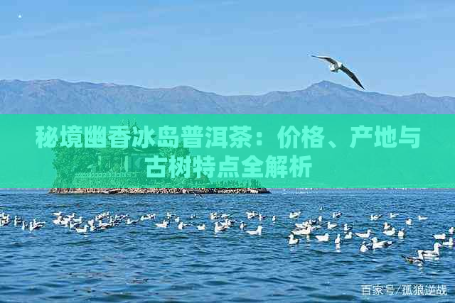 秘境幽香冰岛普洱茶：价格、产地与古树特点全解析