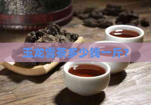 玉龙雪茶多少钱一斤？