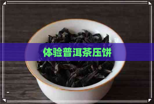 体验普洱茶压饼