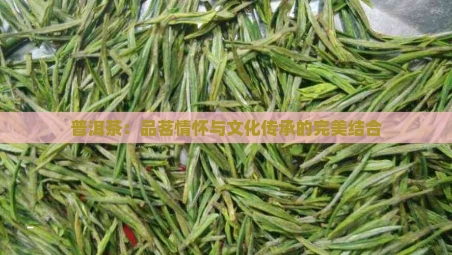 普洱茶：品茗情怀与文化传承的完美结合