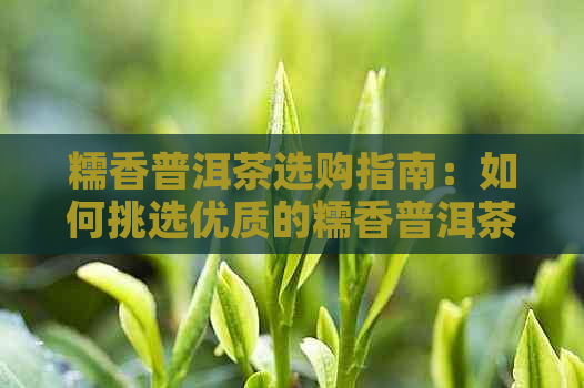 糯香普洱茶选购指南：如何挑选优质的糯香普洱茶及推荐的