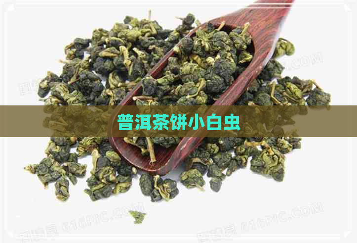 普洱茶饼小白虫