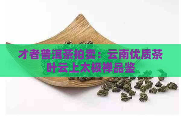 才者普洱茶拍卖：云南优质茶叶云上太极禅品鉴