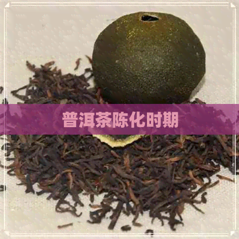 普洱茶陈化时期