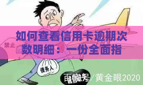 如何查看信用卡逾期次数明细：一份全面指南助你解决相关问题