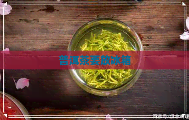 普洱茶要放冰箱