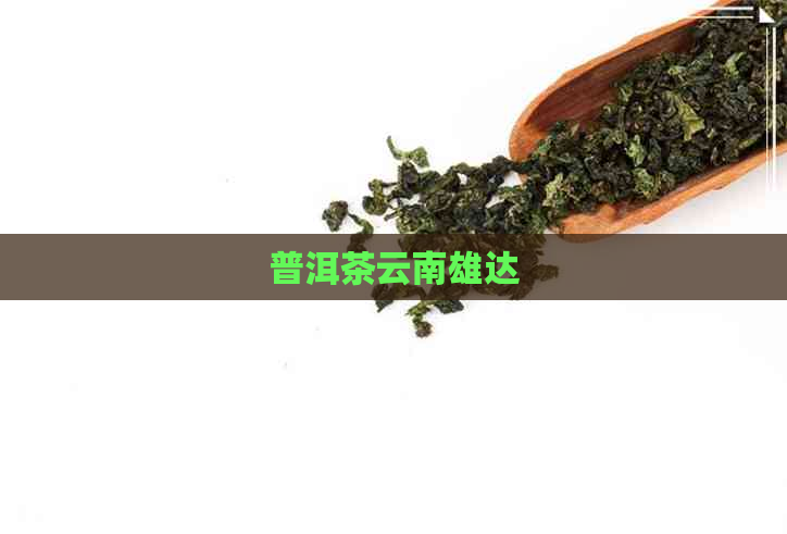 普洱茶云南雄达