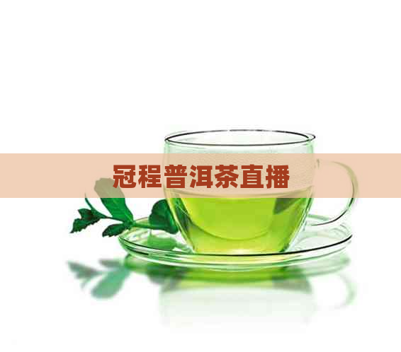 冠程普洱茶直播