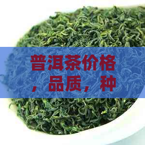 普洱茶价格，品质，种类，购买指南和2023年最新市场分析