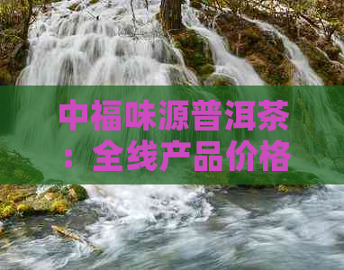 中福味源普洱茶：全线产品价格一览表，年份、品种、规格一应俱全