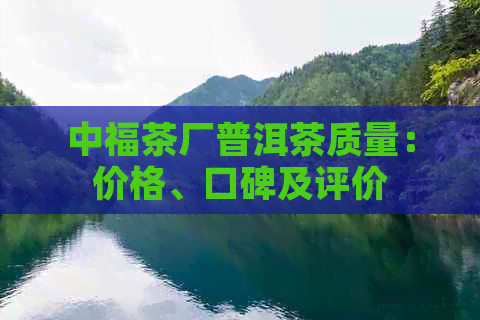 中福茶厂普洱茶质量：价格、口碑及评价