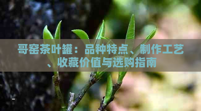 哥窑茶叶罐：品种特点、制作工艺、收藏价值与选购指南