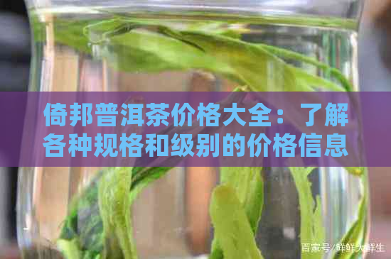 倚邦普洱茶价格大全：了解各种规格和级别的价格信息，助您做出明智购买决策